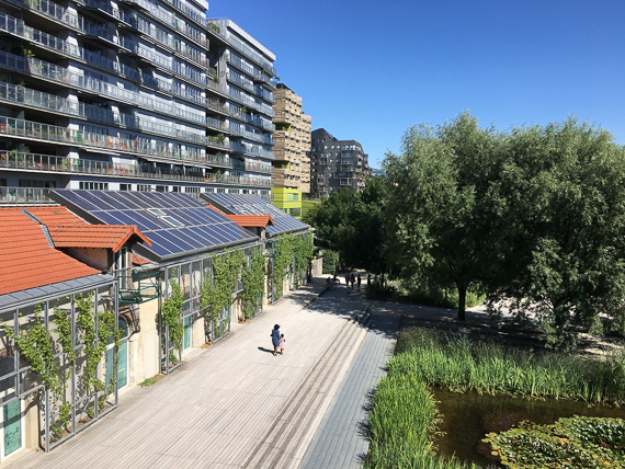 26 juin  2018 - Parc Clichy Batignolles - Martin Luther-King au coeur de l'écoquartier de Clichy-Batignolles