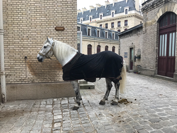 Garde Républicaine Caserne des Célestins - 16 avril 2019