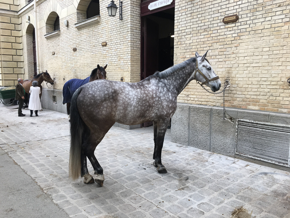 Garde Républicaine Caserne des Célestins - 16 avril 2019