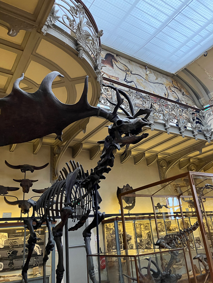 Jardin des Plantes de Paris