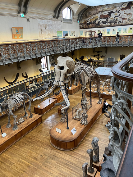 Jardin des Plantes de Paris