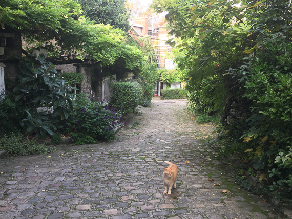 22 octobre 2019 - L'habitat social du XIXe siècle à nos jours. Quartier de la Mouzaïa aux Buttes Chaumont à Paris XIXe